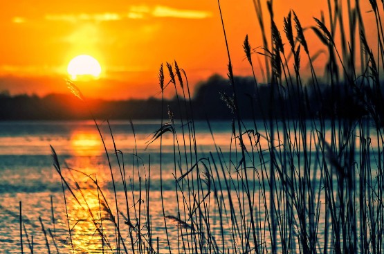 Atardecer en la naturaleza 