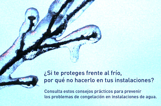 Consejos heladas