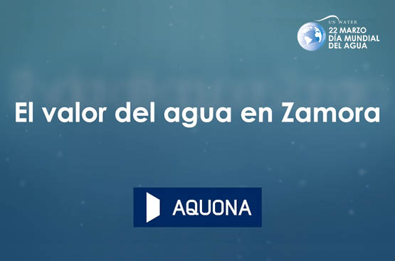 Zamora DMA2021